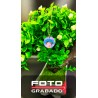 FotoGrabado COLOR - Disco 2.3 cm